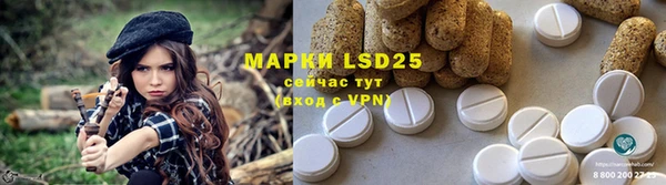 ECSTASY Лагань