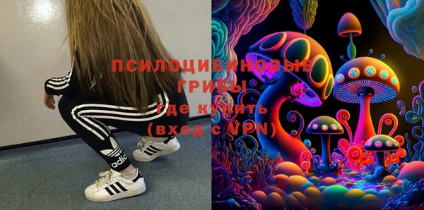 ECSTASY Лагань