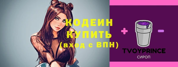 дживик Лабытнанги