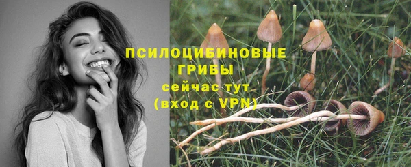 ECSTASY Лагань
