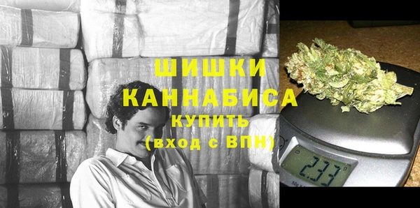 ECSTASY Лагань