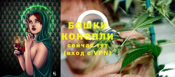 ECSTASY Лагань
