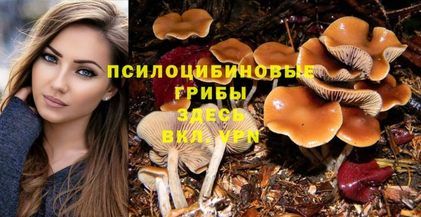 прущий лед Ладушкин