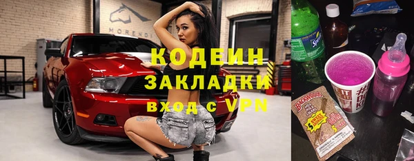 ECSTASY Лагань