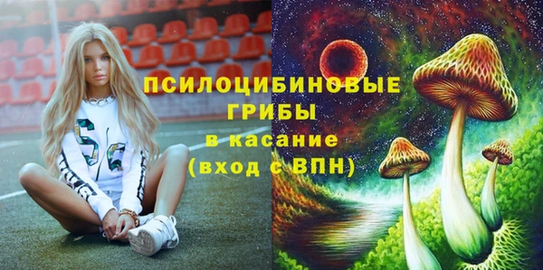 ECSTASY Лагань