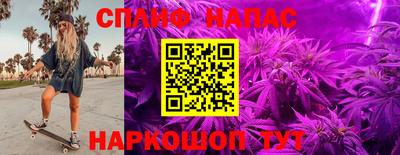 дурь Сланцы