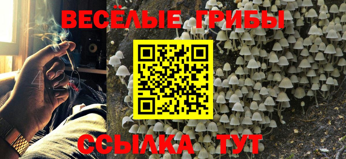 Псилоцибиновые грибы мухоморы Южноуральск
